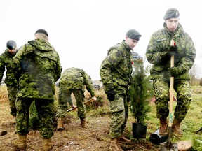 The Canadian Armed Forces and local volunteers plant 300 trees on the former site of Camp X in Whitby, Ont., as part of the Highway of Heroes Tree Campaign on Friday November 2, 2018. (Veronica Henri/Toronto Sun/Postmedia Network)