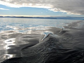 Calm morning seas off Baffin Island, Nunavut, (Bloomberg photo by Hugo Miller)