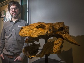 Exhibit co-curator David Evans with Zuul's  76-million-year-old skull. (Ernest Doroszuk, Toronto Sun)