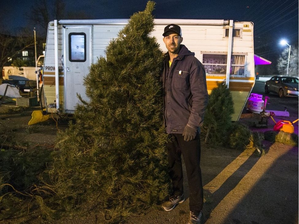 O' CHRISTMAS TREE! Sun photographer's evergreen miracle Toronto Sun