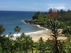 View of the Pacific Coast near Lawai Bay on Kauai, one of the islands of Hawaii. ROBIN ROBINSON