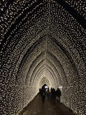 Visitors walk through a tunnel of lights, part of the dazzling Christmas Lights Trail at Blenheim Palace. The 2-plus-km walk features lasers, projections, and thousands of pea-lights. (ROBIN ROBINSON)