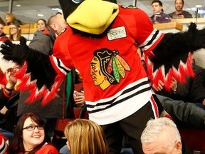 Do not mess around with Blackhawks mascot, Tommy Hawk.
