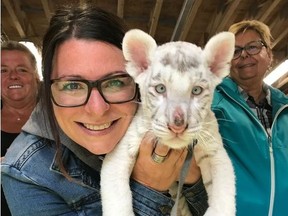 nurse Lisa Cormier – a photo taken Wednesday and a previous one showing Cormier, a self-professed animal lover, cuddling a white tiger at a zoo recently. She was the one who saved JC the Lemur and got him home safely. on Thursday December 20, 2018. (Tracy McLaughlin/Toronto Sun)