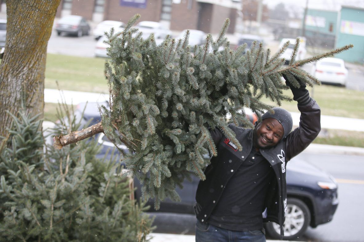 Etobicoke man gives away free Christmas trees Toronto Sun