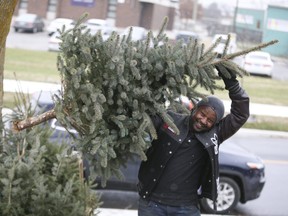 Jessey Njau hauls a Christmas tree on Tuesday, December 11, 2018, in Etobicoke, Ontario. He gives the trees away to newcomers who may not be able to afford one. (Veronica Henri/Toronto Sun)