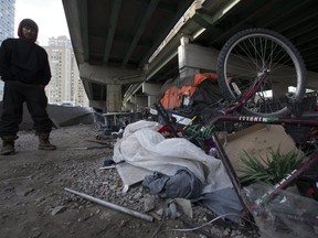 Dave is pictured under the Gardiner Expressway. (Stan Behal, Toronto Sun)