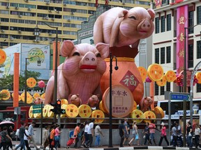 People walk past figurines of the pig ushering for the upcoming Chinese Lunar New Year along the roadside of the Chinatown in Singapore on Jan. 9, 2019. (ROSLAN RAHMAN/AFP/Getty Images)