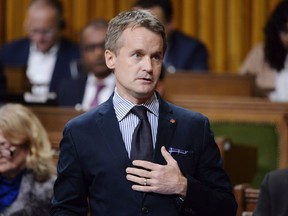 Minister of Veterans Affairs Seamus O'Regan rises during question period in the House of Commons on Parliament Hill in Ottawa on Thursday, Sept. 27, 2018. (THE CANADIAN PRESS/Adrian Wyld)