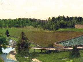 The “original” bridge that carried Yonge St. over a branch of the Don Rivert that continues to flow through the hollow named in honour of the pioneer Hogg family is seen in this early 1900s penny postcard.