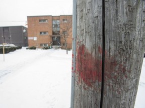 Blood is seen on a pole along Keele St. near Lawrence Ave W. in Toronto, Ont. on Monday February 11, 2019. A victim of a suspected overnight assault was taken to hospital. Ernest Doroszuk/Toronto Sun