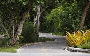 A portion of the 40 km of bike trails on Sanibel Island, Florida. Ernest Doroszuk/Toronto Sun