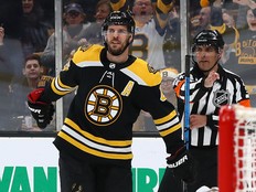 David Krejci #46 of the Boston Bruins celebrates after scoring a goal against the Chicago Blackhawks during the first period at TD Garden on February 12, 2019 in Boston, Massachusetts. (Photo by Maddie Meyer/Getty Images)
