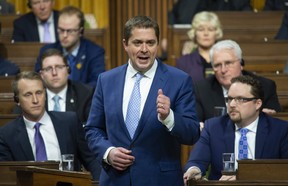 Leader of the Opposition Andrew Scheer rises during Question Period in the House of Commons Wednesday, February 6, 2019 in Ottawa. (THE CANADIAN PRESS/Adrian Wyld)