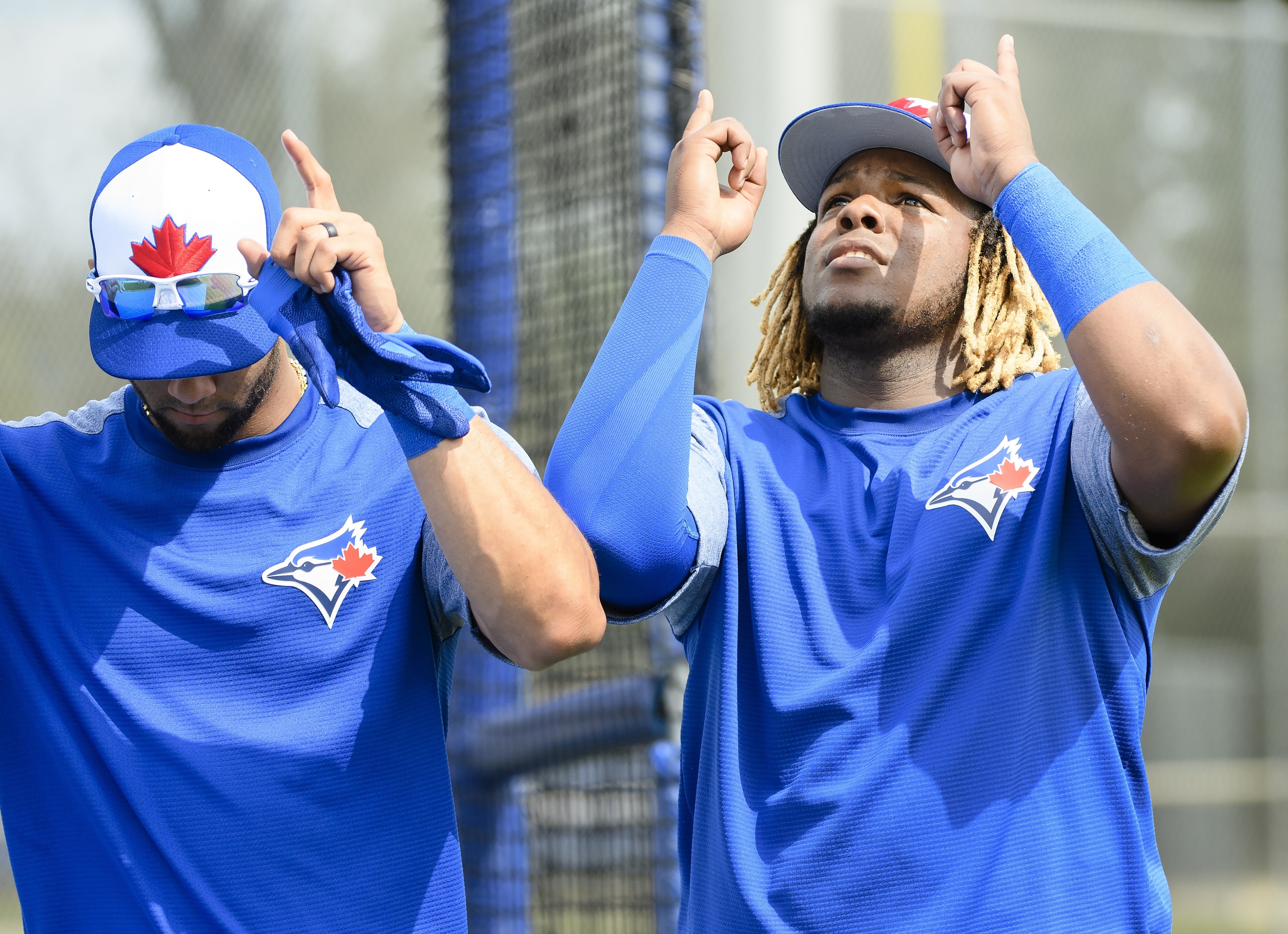 Toronto Blue Jays 2019 Spring Training Gift Guide