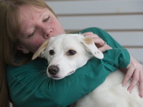 Pebbles, in the arms of  temporary foster mom Stephanie Cortez on Sunday Feb. 17, 2019.