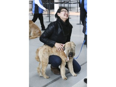 Passengers at Toronto Pearson International Airport are greeted by St. John Ambulance Therapy Dogs on Friday February 22, 2019. Veronica Henri/Toronto Sun/Postmedia Network