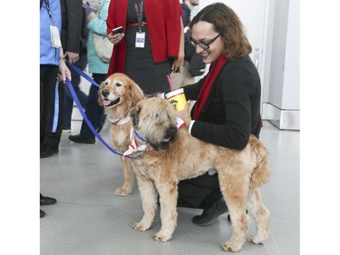 Passengers at Toronto Pearson International Airport are greeted by St. John Ambulance Therapy Dogs on Friday February 22, 2019. Veronica Henri/Toronto Sun/Postmedia Network