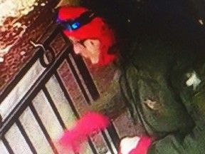 This unidentified man is suspected of destroying nine ice sculptures that were meant to attract business to King Street West. (supplied security camera image)