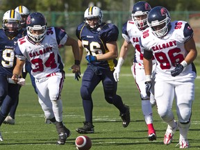 In this August 26, 2012 file photo, Edmonton Wildcats Taylor Yaremchuck, left, and Jonathan Harke chase down a loose ball after a really short punt behind Calgary Colts Skylar Pinchak, left to right, Patrick McDonald, and a player who doesn't appear on the roster during football action at Clarke Park in Edmonton.  (AMBER BRACKEN/EDMONTON SUN)