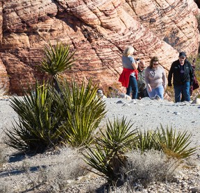Visitors in Red Rock Canyon, west of Las Vegas, Nevada