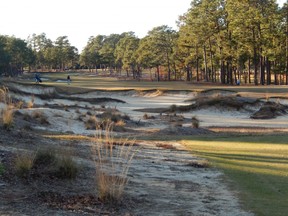 Sweeping sand features are now signatures of the redesigned Pinehurst #4 course.