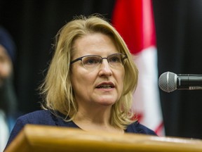 Ontario Minister of Community Safety and Correctional Services Sylvia Jones addresses media after the federal government made a funding announcement to the province under the Initiative to Take Action Against Gun and Gang Violence held at York Region District School Board in Aurora, Ont. on Tuesday, March 12, 2019. (Ernest Doroszuk/Toronto Sun/Postmedia)
