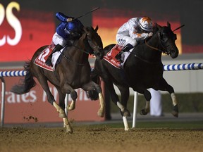 Thunder Snow (left) holds off Gronkowski at the $12-million US Dubai World Cup on Saturday to become the first horse to win the race two years in a row. (Martin Dokoupil/The Associated Press)