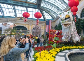 Bellagio conservatory