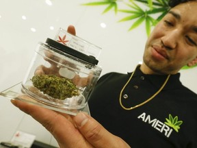 Toronto's second recreational pot shop,  Ameri, opened in Yorkville on Sunday. An employee, who goes by the name Panda, shows off large "nug" of White Shark on  April 7, 2019. (Jack Boland, Toronto Sun)