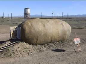 The Big Idaho® Potato Hotel, a 6-ton, 28-foot long, 12-foot wide and 11.5-foot tall spud made of steel, plaster and concrete, is firmly planted in an expansive field with breathtaking views of the Owyhee Mountains on Monday, April 22, 2019 in South Boise, Idaho. The replica Russet Burbank potato traversed the U.S. from 2012 to 2018 aboard the Idaho Potato Commission's Great Big Idaho Potato Truck until it was ultimately recycled into a unique retreat that can now be reserved on Airbnb.