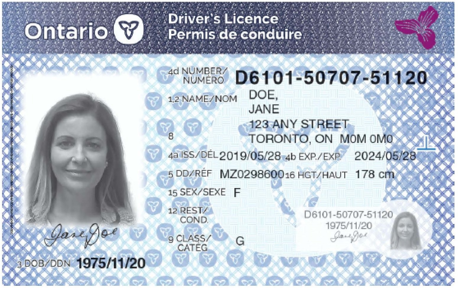 ontario-extends-driver-s-licence-ohip-card-renewals-toronto-sun