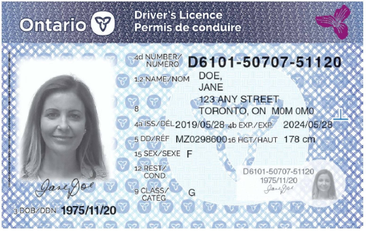 how to renew ontario photo id card