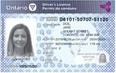 Ontario's redesigned driver's licence (JeffYurekMPP/Twitter)