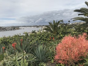 From Lookout Point in Corona del Mar, one of 10 neighbourhoods in Newport Beach, visitors can find a great vantage point to oversee the harbour where the rich and famous call home. (Postmedia Network photos)