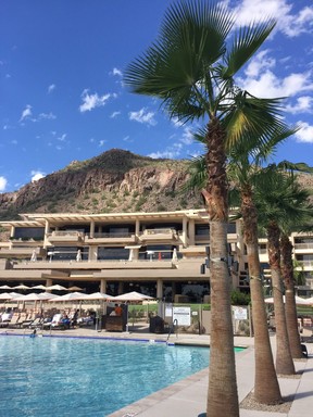Nine swimming pools flanked by lounge areas and palm tress make up the pool complex at The Phoenician. One of Scottsdale’s top resorts. ROBIN ROBINSON/SPECIAL TO POSTMEDIA NETWORK