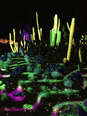 A sound and light installation called Electric Desert turns Phoenix’s Desert Botanical Garden into another world at night. The exhibit runs through May 12. ROBIN ROBINSON/SPECIAL TO POSTMEDIA NETWORK