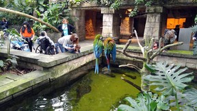 The Rainforest Pyramid at Moody Gardens gives visitors an up-close look at many species of birds, fish and other rarely seen animals. (DAVE POLLARD)