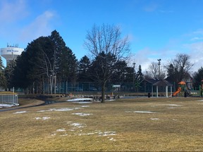 York Regional Police are investigating reports of at least two dogs becoming ill after eating potentially poisoned food off the ground in King City Memorial Park. (Chris Doucette/Toronto Sun/Postmedia Network)