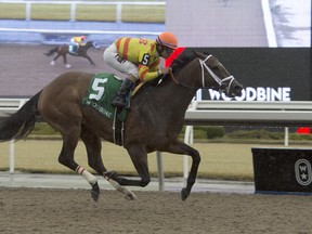 Jockey Alan Garcia guides Shakopee Town to victory in the $125,000 Whimsical Stakes at Woodbine yesterday. (Michael Burns photo)