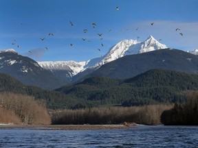 The view along the Squamish River in Squamish B.C. on Jan. 12, 2019.