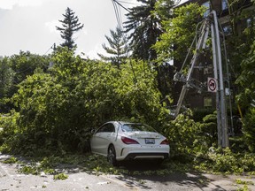Tree and hydro pole down after a storm near St. Clair Ave W.  and Avenue Rd. in Toronto, Ont. on Wednesday June 13, 2018.