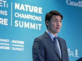 Prime Minister Justin Trudeau addresses the Nature Champions Summit in Montreal on Thursday, April 25, 2019.