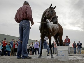 Kentucky Derby favourite Omaha Beach was ruled out on Thursday. (AP PHOTO)