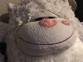 Facebook user David Moore is looking for the owner of this stuffed animal