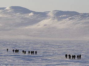 A location near Kugaaruk, Nunavut ,soldiers prepare to walk to the site of a former plane crash on February 14, 2014.