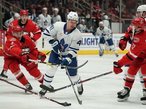 Marlies winger Dmytro Timashov loses the puck in traffic against the Charlotte Checkers during Game 1 of the AHL Eastern Conference final on Friday night in Charlotte, N.C. Timashov had a goal in Toronto’s victory. (Photo courtesy of Charlotte Checkers)