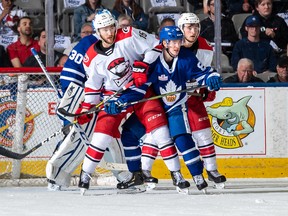 Marlies defenceman Mac Hollowell is sandwiched between two Charlotte Checkers players in front of goaltender Kasimir Kaskisuo on Tuesday night at Coca-Cola Coliseum. Kaskisuo was pulled to start the third.  Photo courtesy of Toronto Marlies