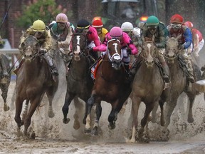 From industry insiders in the know to casual sports fans and talk show hosts, Maximum Security’s (centre) disqualification at the Kentucky Derby is dividing opinions everywhere. (AP)