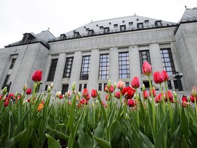 Tulips bloom outside the Supreme Court of Canada in Ottawa on Friday, May 24, 2019.  THE CANADIAN PRESS/Sean Kilpatrick